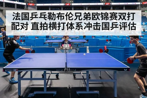 法国乒乓勒布伦兄弟欧锦赛双打配对 直拍横打体系冲击国乒评估